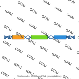 Dna construct
