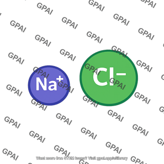 Nacl ion pair