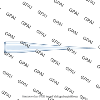 Microinjection needle
