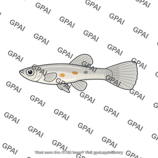 Male guppy drab colored