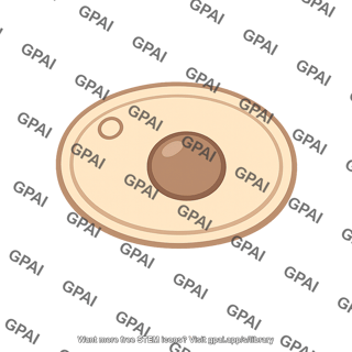 Yeast cell