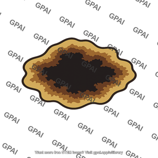 Potato blight lesion