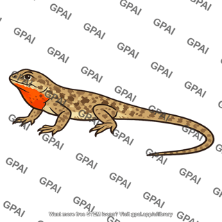 Common side blotched lizard male orange throat