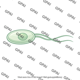 Gamete flagellated