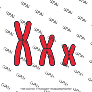 Chromosomes set