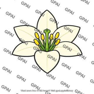 Monocot flower