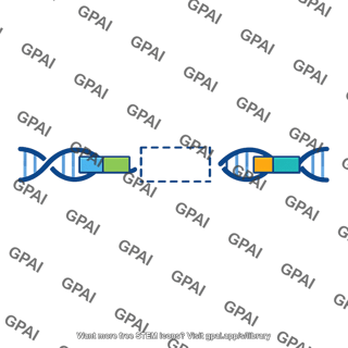 Gene deleted copy