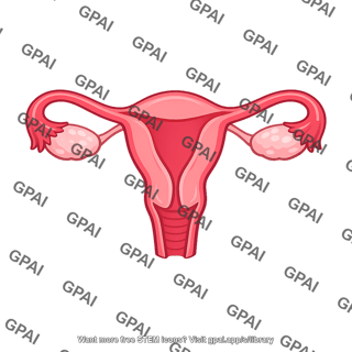 Female reproductive organ
