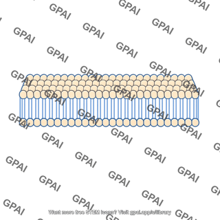 Artificial membrane bilayer patch