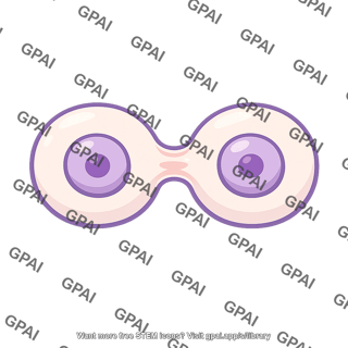 Stem cell dividing