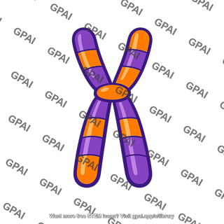 Recombinant chromosome