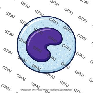 Monocyte