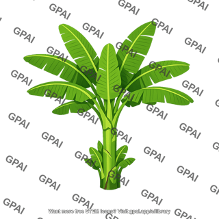 Banana plant