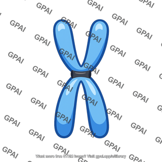 Condensed chromosome
