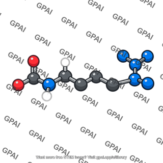 Arginine 3d