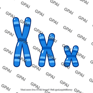Chromosome set