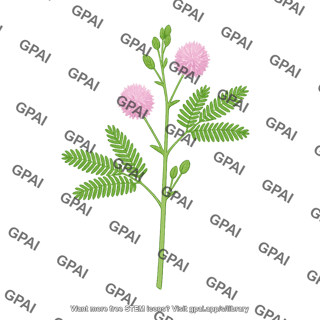 Sensitive plant