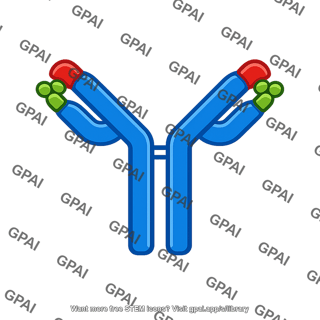 Antibody glycoprotein specific