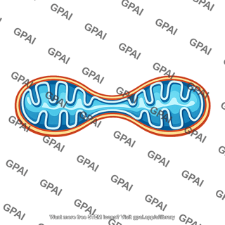 Mitochondrion fusing