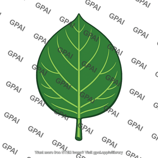 Mature leaf