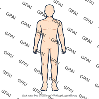 Human body plan