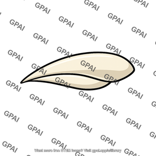 Grain seed