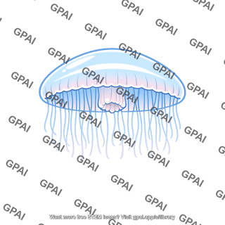 Cnidarian medusa