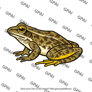 Yellow legged frog