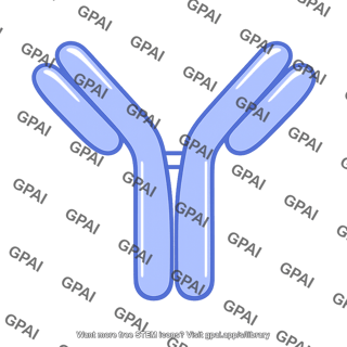 Monoclonal antibody