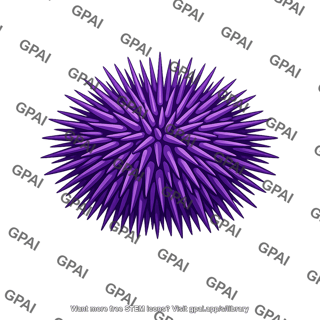Purple sea urchin