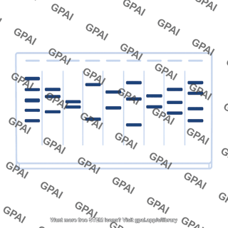 Electrophoresis gel