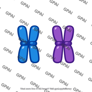 Short chromosome pair