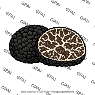 Tuber melanosporum ascocarp sliced
