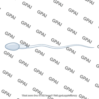 Sea urchin sperm