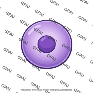 Cell nucleus