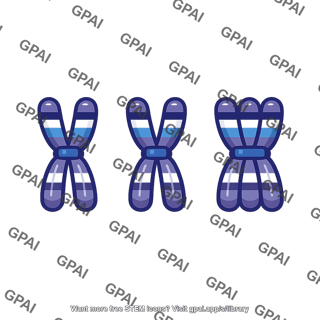 Human chromosome 21 trisomy