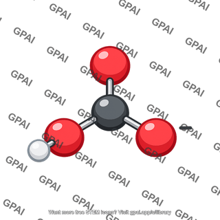 Bicarbonate ion 3d