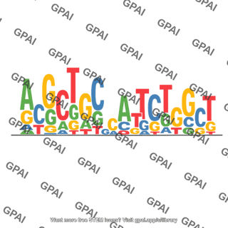Sequence logo