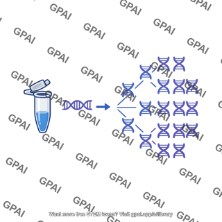 Pcr