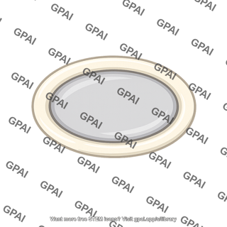 Oval window