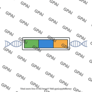 Dna transcription unit