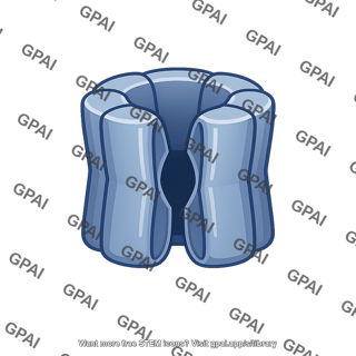 Chloride channel