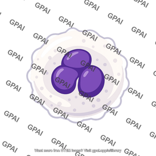 Blood cell white