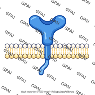 Cell surface receptor