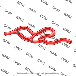 Peritubular capillary