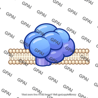 Membrane enzyme