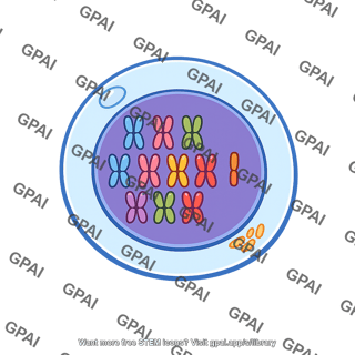 Monosomic cell