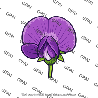 Pea flower purple
