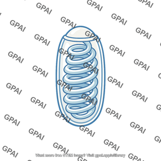 Cnidae