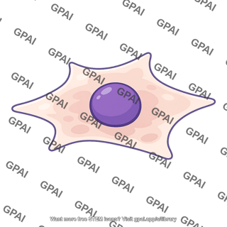 Adherent cell